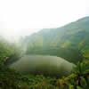 Rwanda Gorilla Trekking 