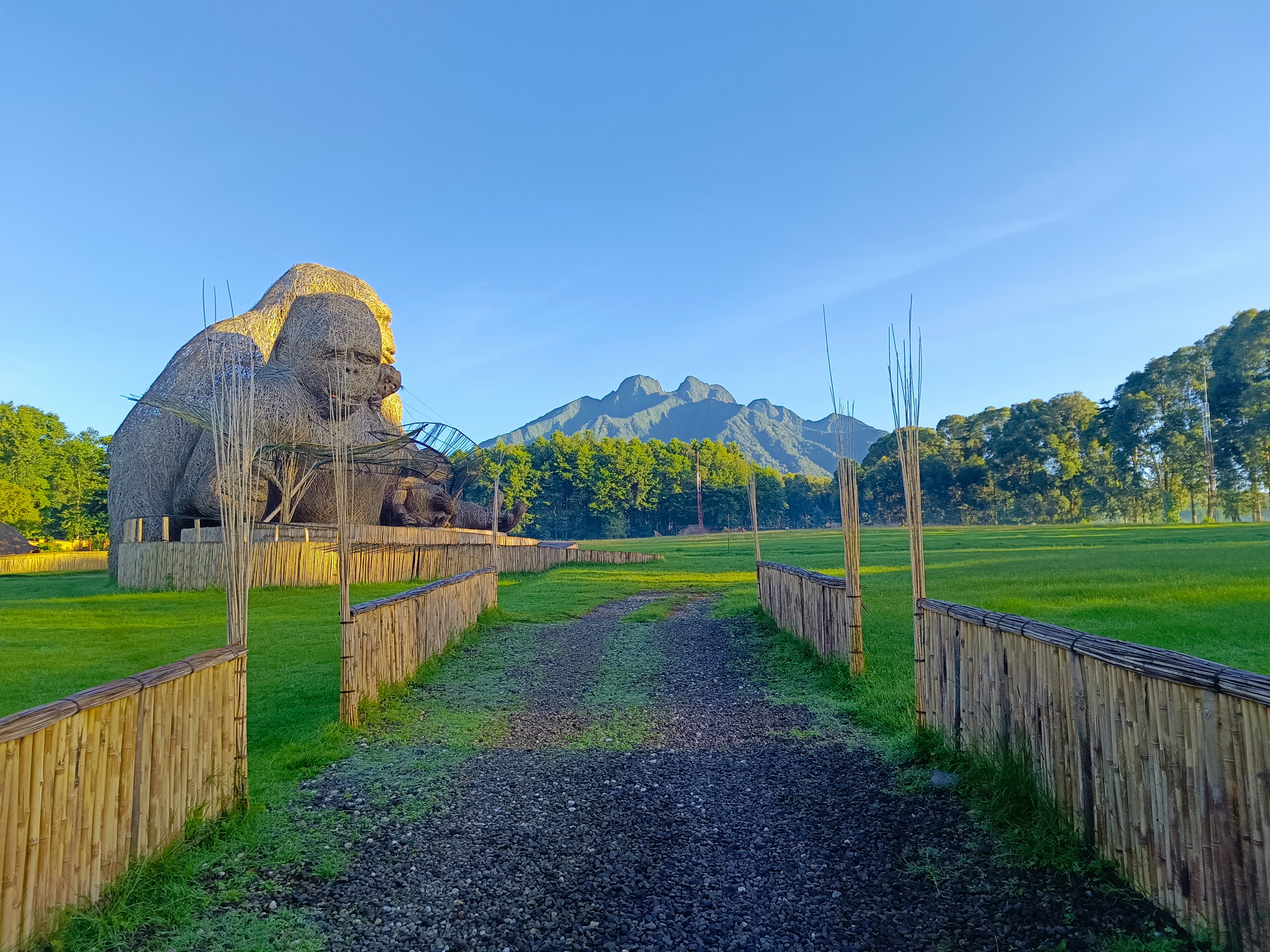 4 Days Rwanda Gorilla & Chimpanzee Trek