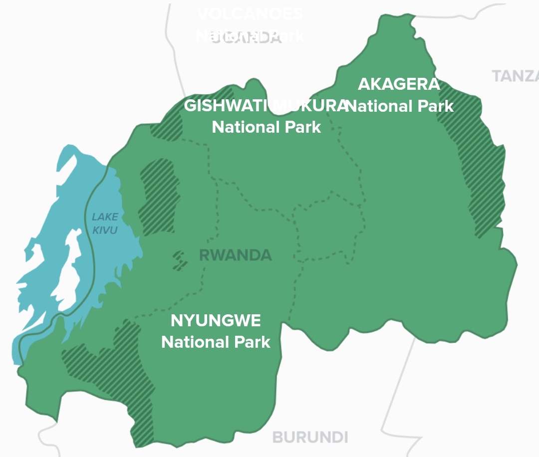 Gorilla Trekking Rwanda