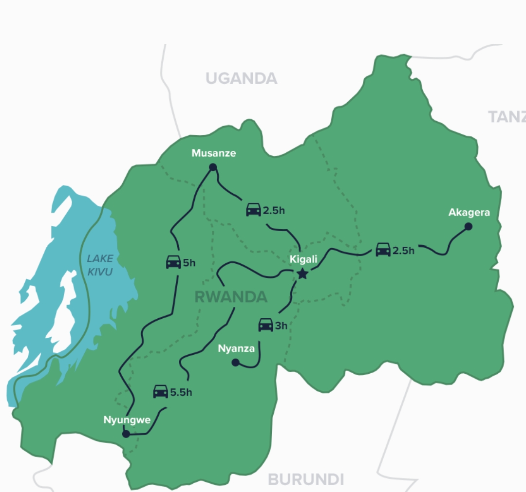 Gorilla Trekking Rwanda