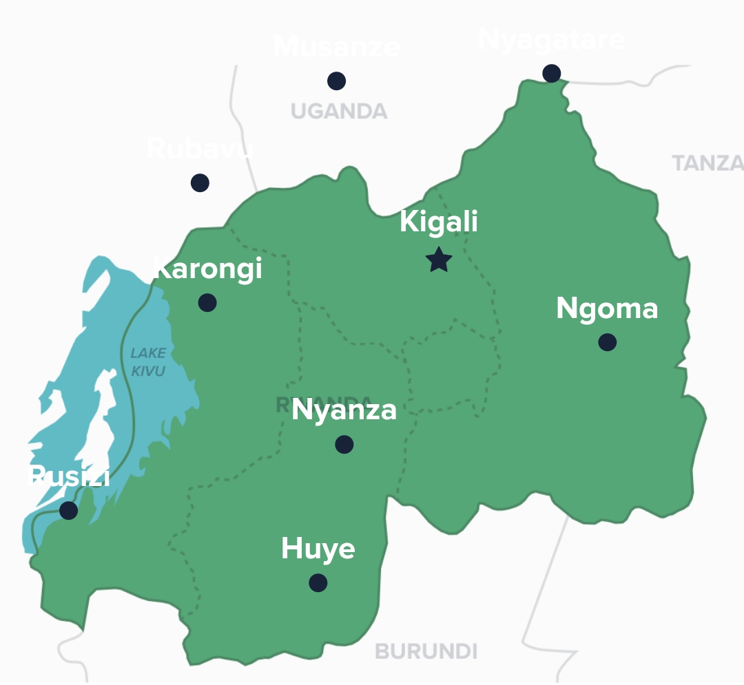 Gorilla Trekking Rwanda