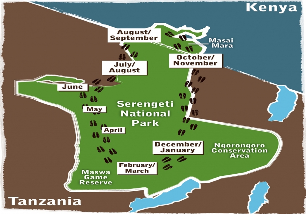 Wildebeest Migration